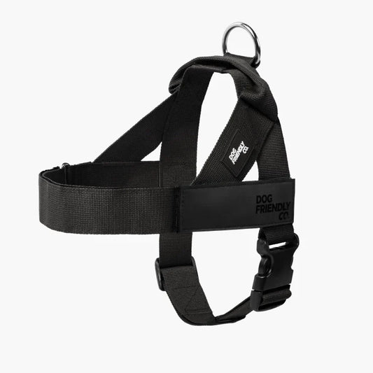 PetComfort