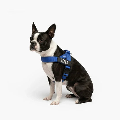 PetComfort
