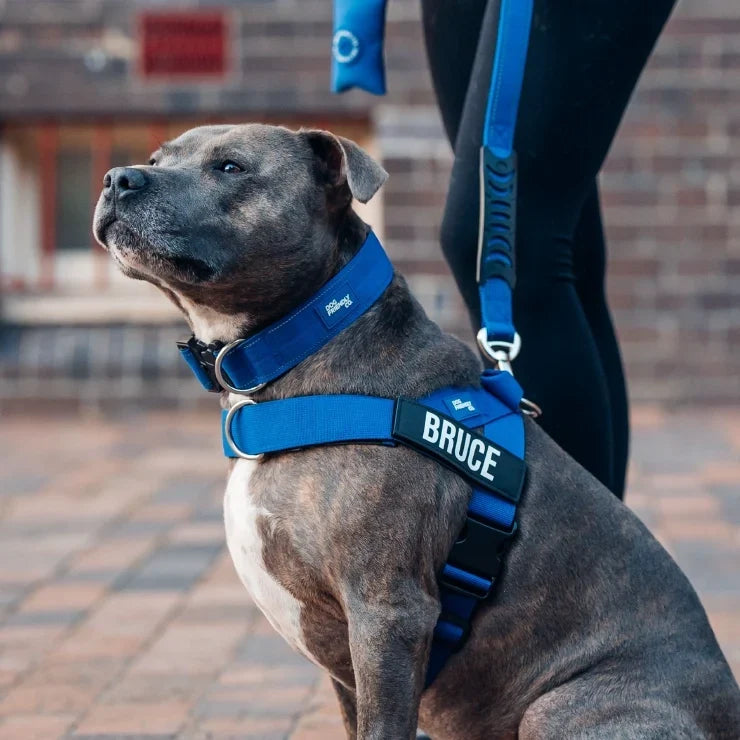 PetComfort
