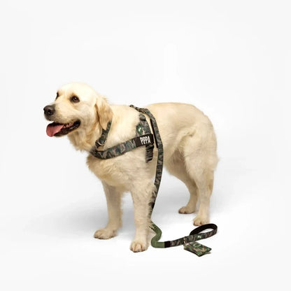 PetComfort