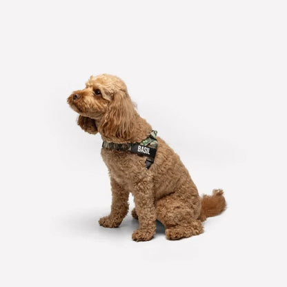 PetComfort