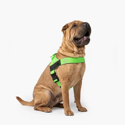 PetComfort