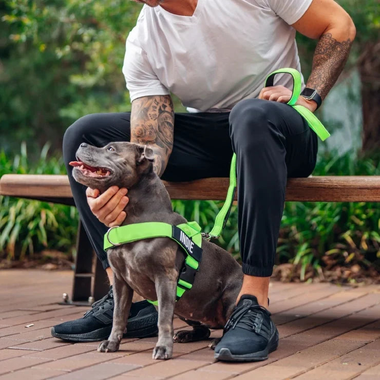 PetComfort