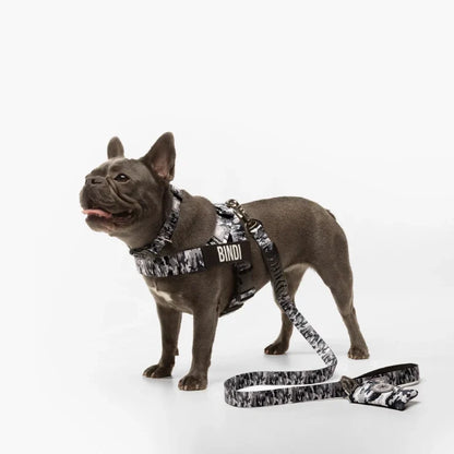 PetComfort