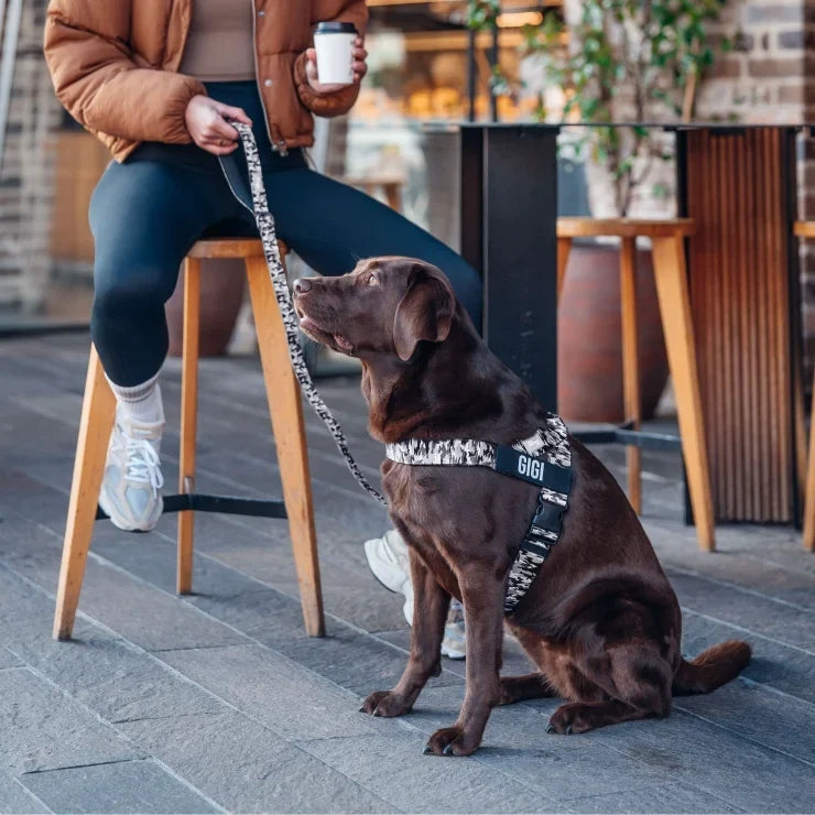 PetComfort