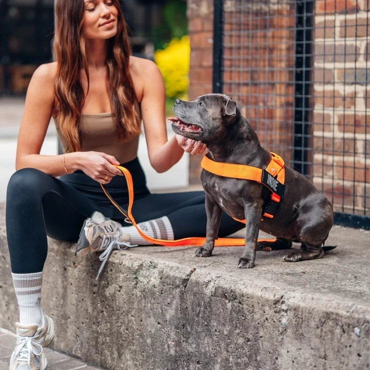PetComfort