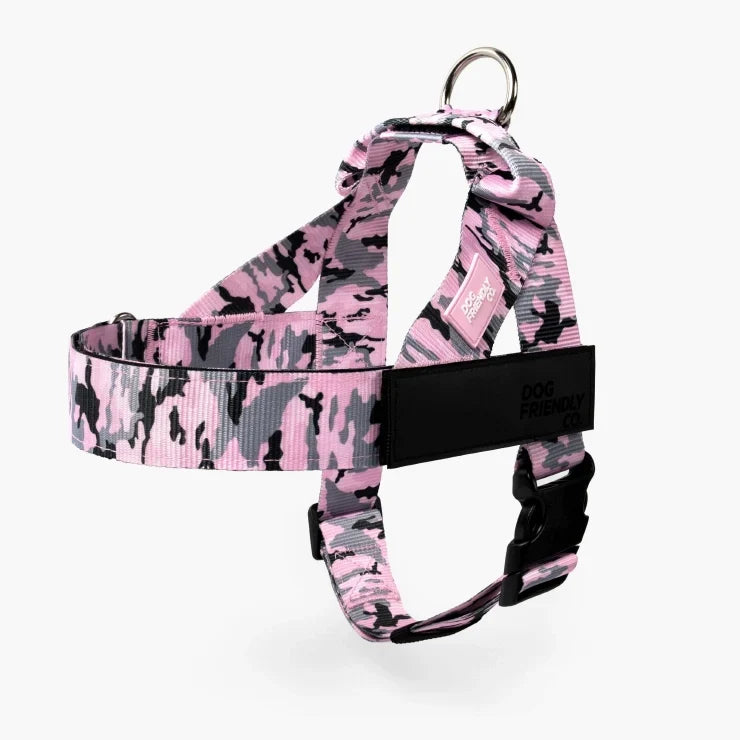 PetComfort