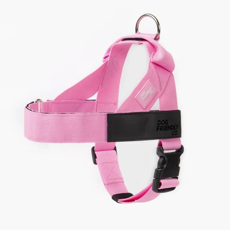 PetComfort
