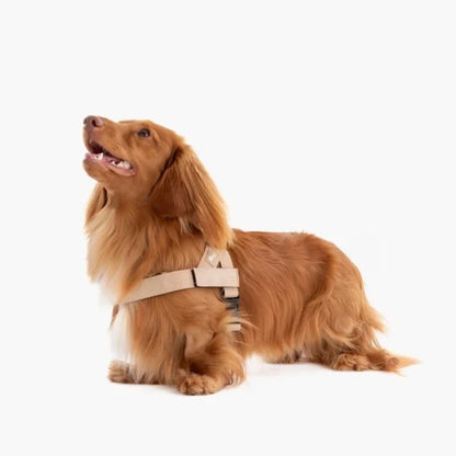 PetComfort