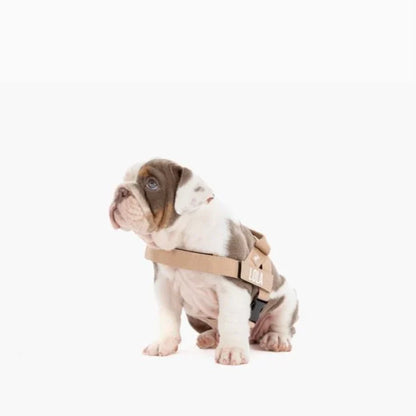 PetComfort