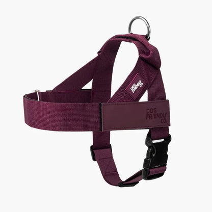 PetComfort