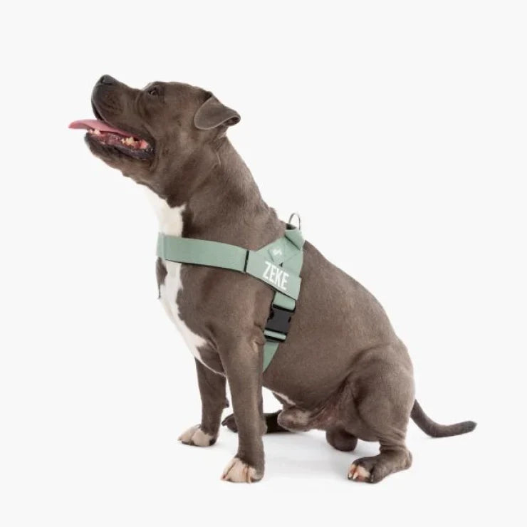 PetComfort