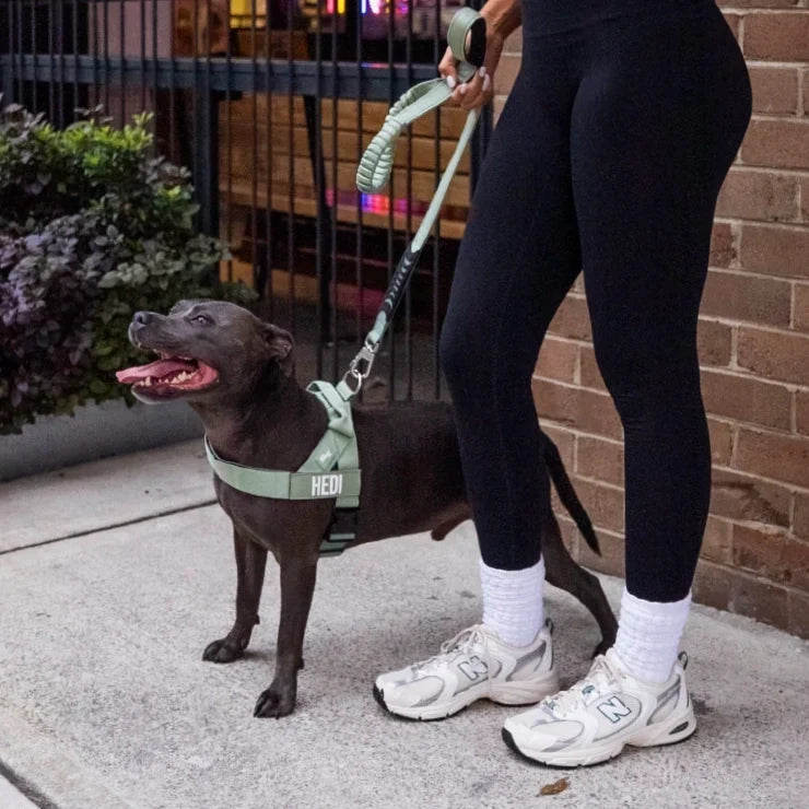 PetComfort