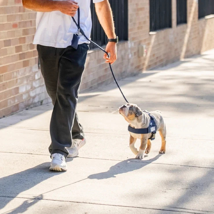 PetComfort