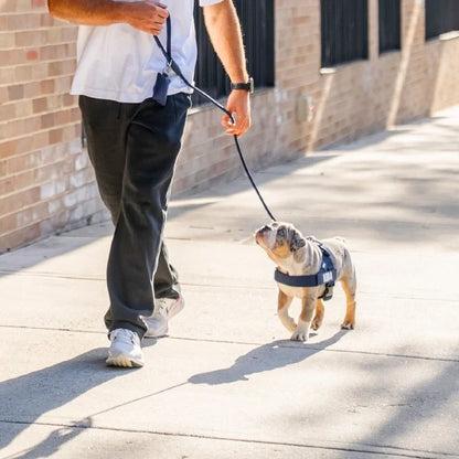 PetComfort