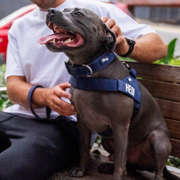 PetComfort