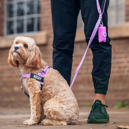 PetComfort
