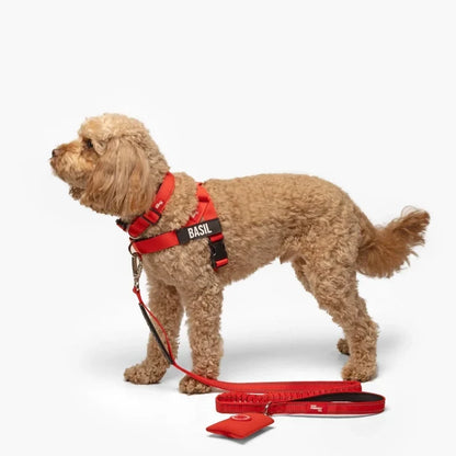 PetComfort