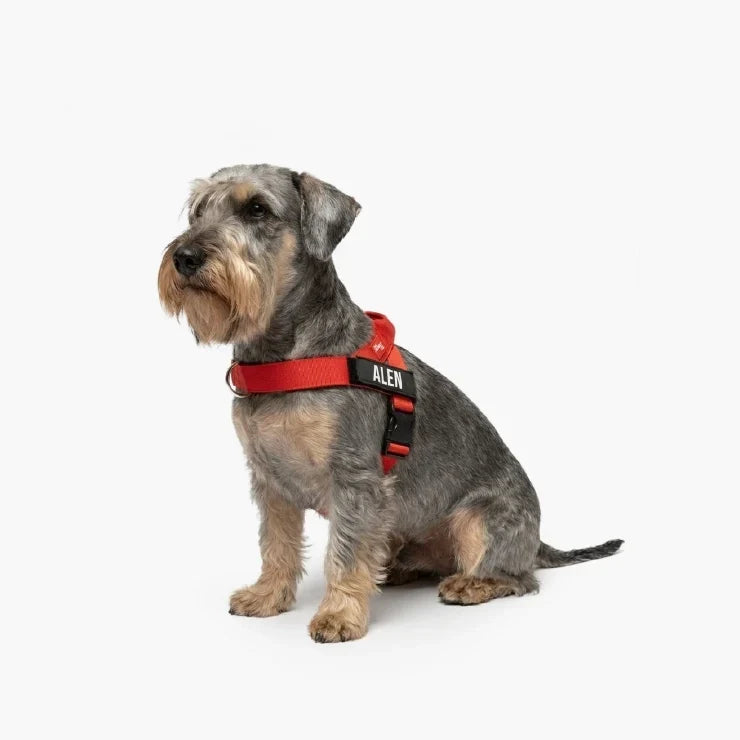 PetComfort