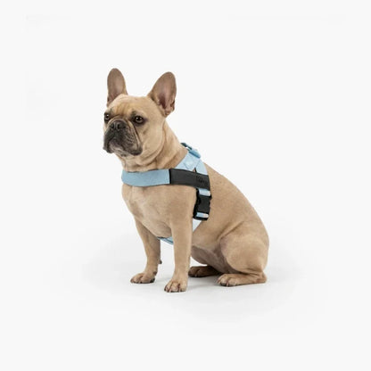 PetComfort