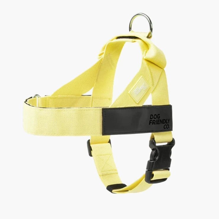 PetComfort