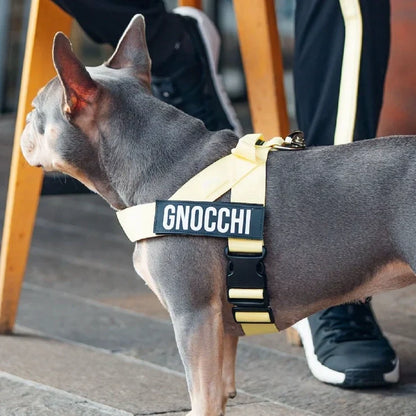 PetComfort