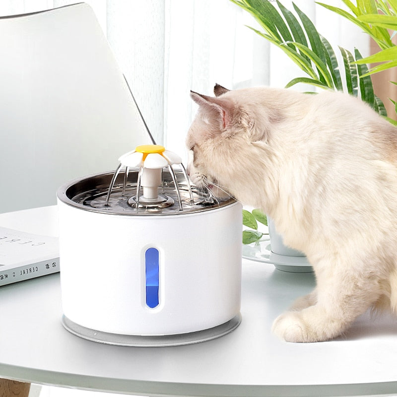 CatFountain®