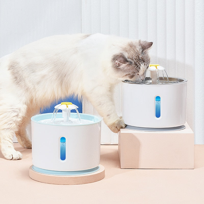 CatFountain®